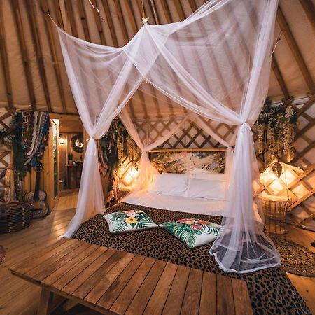 2 Cuori E 1 Yurta Glamping In Tuscany - Adults Only Asciano Exterior foto