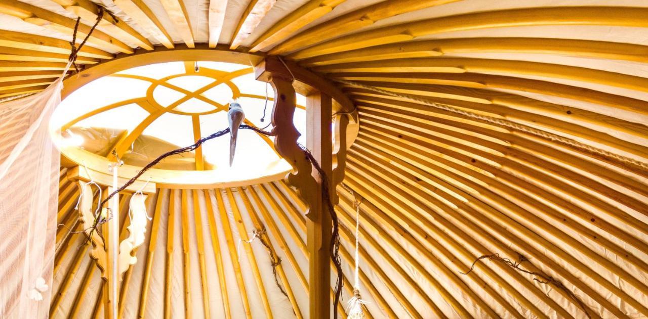 2 Cuori E 1 Yurta Glamping In Tuscany - Adults Only Asciano Exterior foto