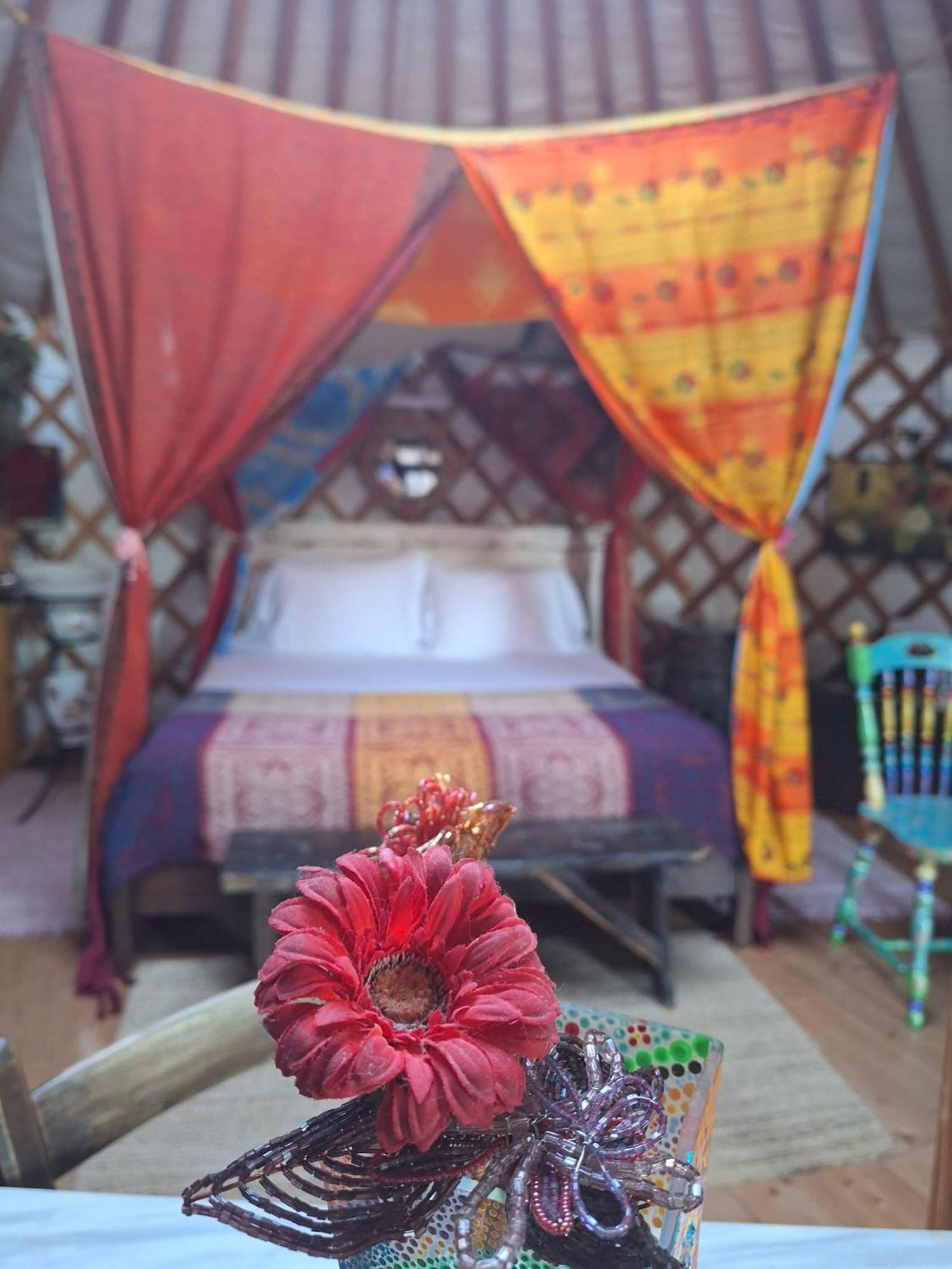 2 Cuori E 1 Yurta Glamping In Tuscany - Adults Only Asciano Exterior foto